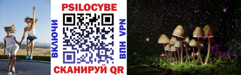 Купить  Шарыпово  Галлюциногенные грибы Magic Shrooms 